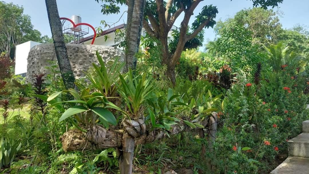 Matteo'S Hus Villa Rental Zamboanguita  Екстериор снимка